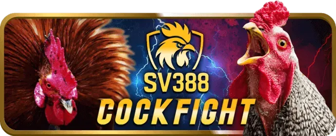 Điền thông tin đăng ký 88go code